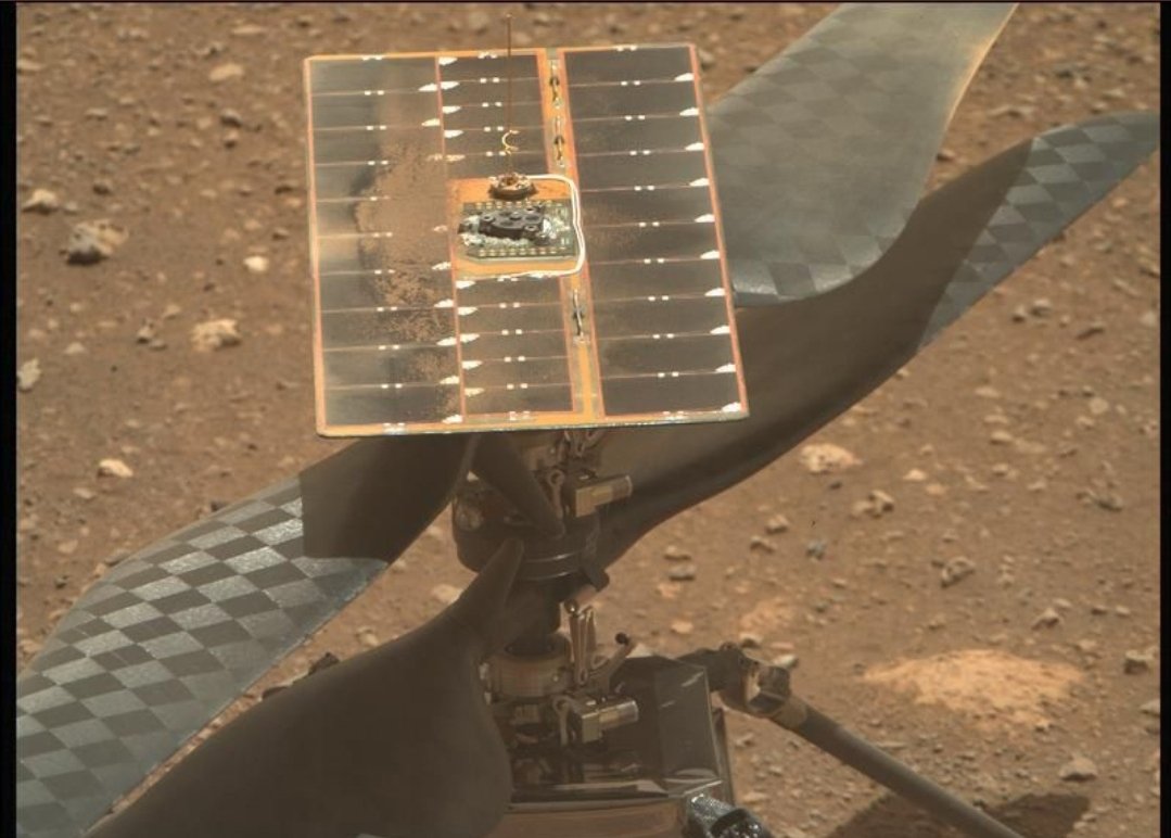 Janice Kyakundwa, PhD tweet media