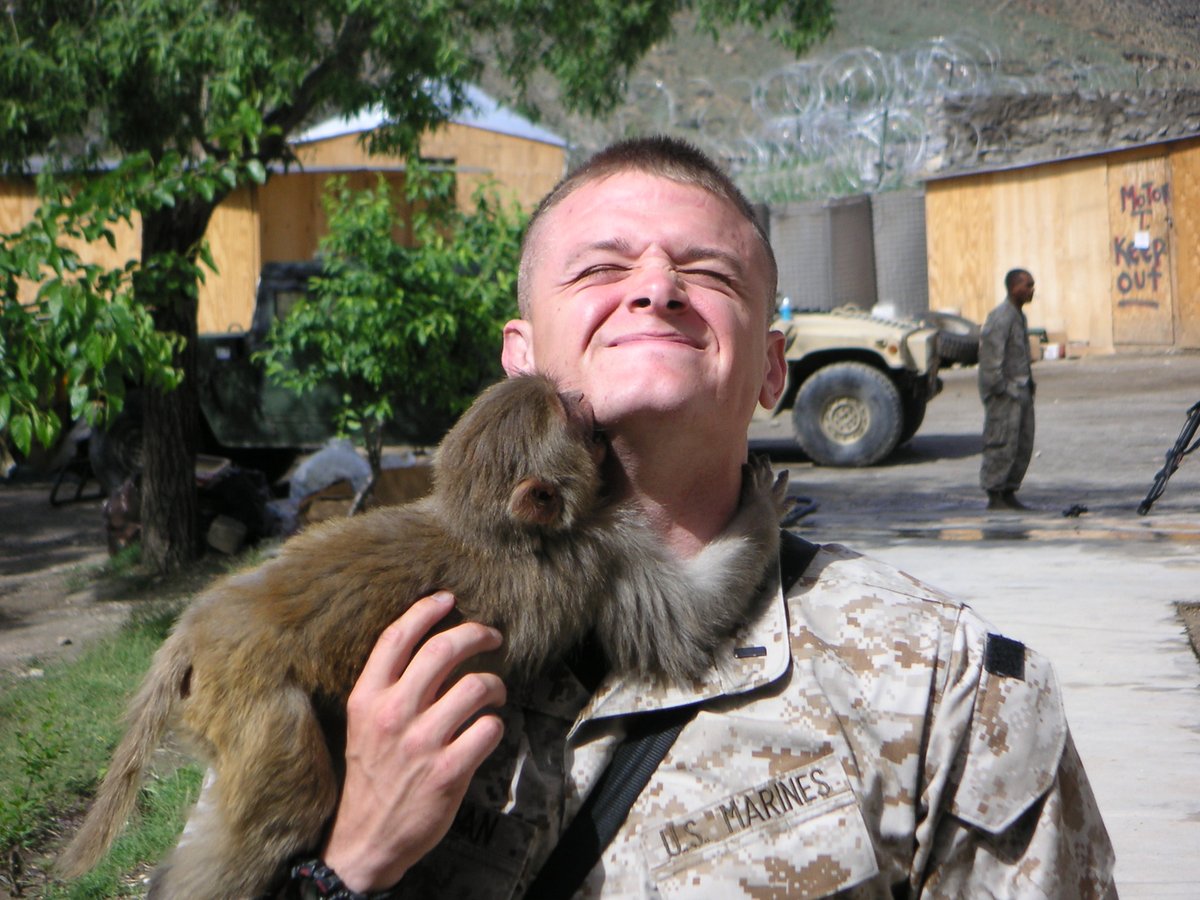 When ODA 361 left Blessing in late 2004, the Pech mission—including making use of the local militia the Green Berets had stood up—passed to a new platoon of Marines, from 3/3 out of Hawaii. Here's platoon commander Justin Bellman with a monkey the SF guys also left for them.