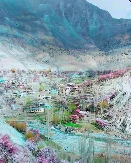 NasiriSyed's tweet photo. Beautiful  Daso Tormik Valley #Baltistan
#GilgitBaltistan #Tormik https://t.co/gZKGU0bJre
