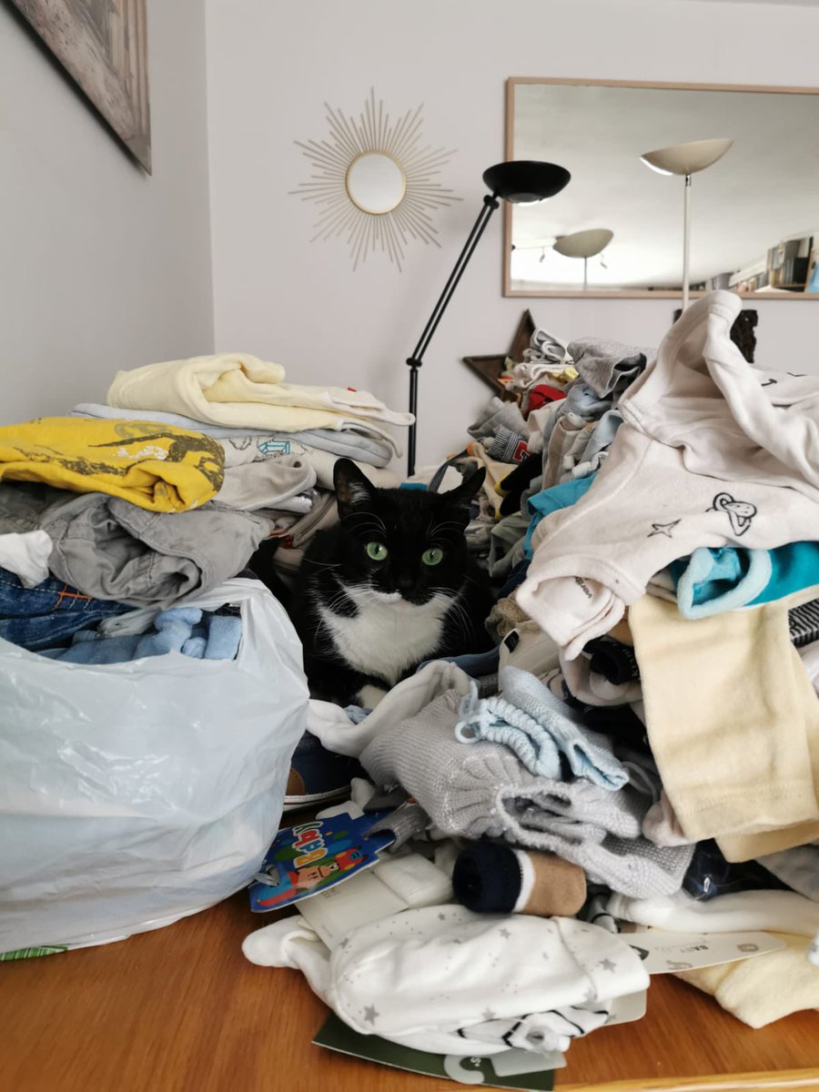 Wilson Stick tweet media