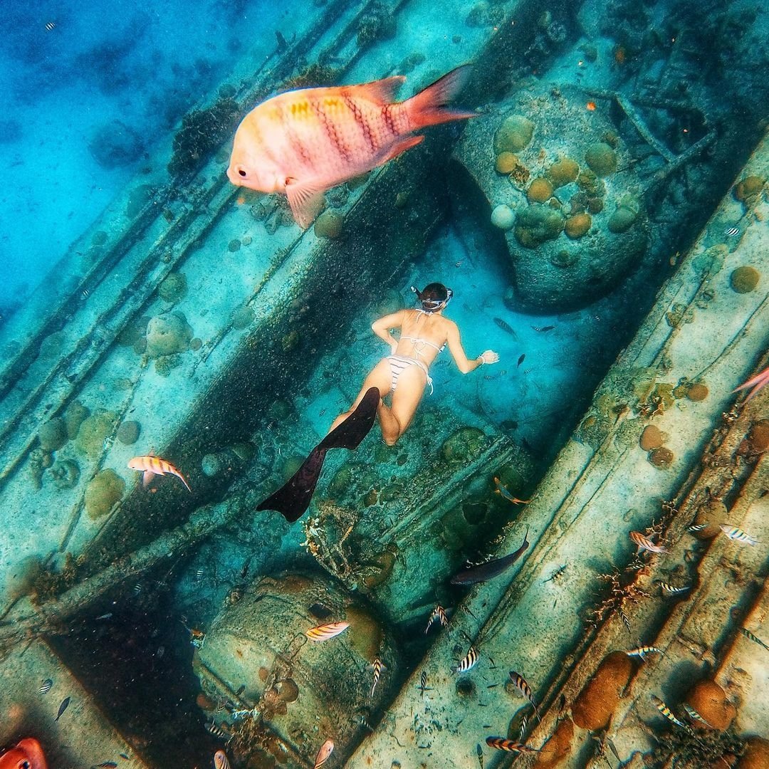 Barbados's tweet photo. Every day in Barbados is an opportunity for new adventures! #LoveBarbados #VisitBarbados #FallInLoveWithBarbados
πΈ: emmahydes11 https://t.co/7gkm0EQL6n