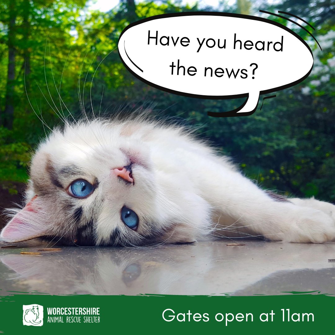 ***HAVE YOU HEARD?***

We are thrilled to announce we will again be opening our gates to the public to visit site.

Come along and see us on Monday 12th April. 

You can browse our shop and help us raise much needed funds.

#WorcestershireHour #MalvernHillsHour