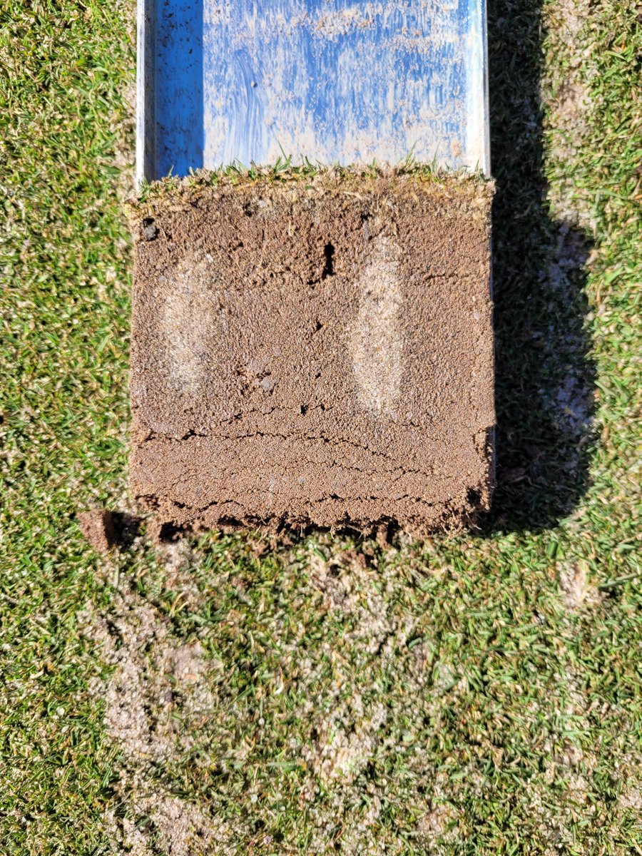 Anthony Minniti tweet media