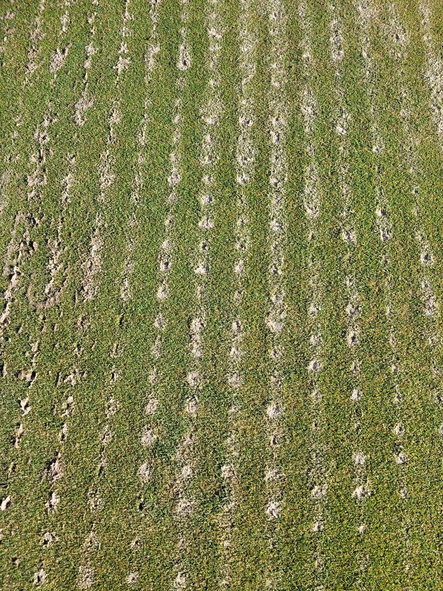 Anthony Minniti tweet media