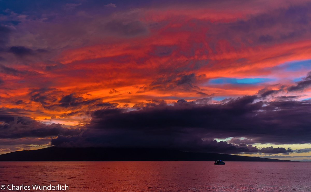 From our trip to Maui, HI
wunderlichphotography.com
.
.
.
.
.
.
#Maui #dallas #dallastx #sachse #sachsetx #wylie #wylietx wylietexas #richardson #dfw #dallastx #dallasvenues #dallasblogger #dallaslife #murphytx #planotx #friscotx  #dallasblogger