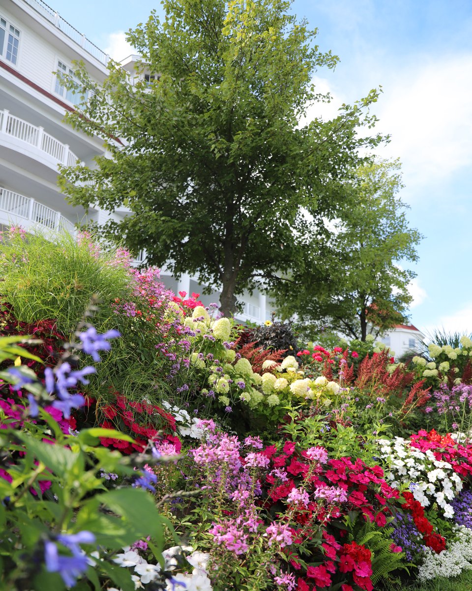 innatbayharbor's tweet image. Warm spring days have us looking forward to when the Inn will burst into color this summer. #michigansummer #puremichigan #aprilshowers #gardengoals #hotelgardens #beautifulplaces #tbt