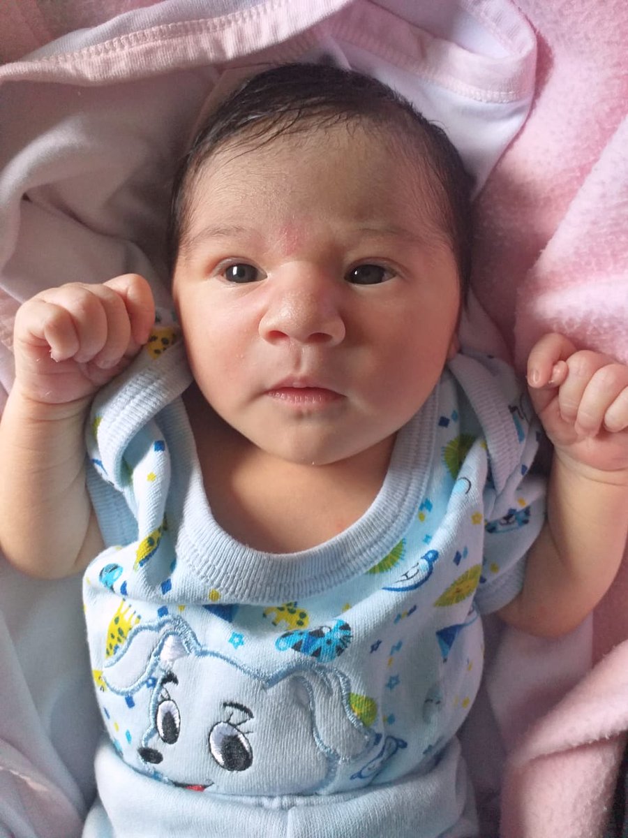 nico_reta's tweet photo. Mi bomboncito 🥰 https://t.co/Ux02VSd5EN