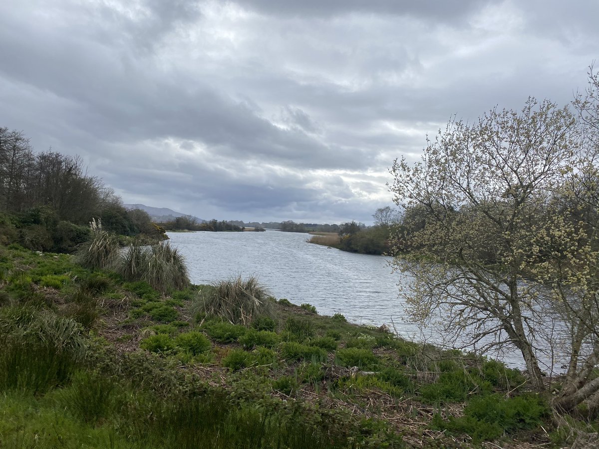 mshanley_m's tweet photo. Day 98 #100daysofwalking #Roughty #Sheen #KenmareBay #windy #cold #darkskies #rain #lockdown3 #within5k @100DaysOfWalkin @NTBreakfast @WAWHour https://t.co/iMBoleBLcj