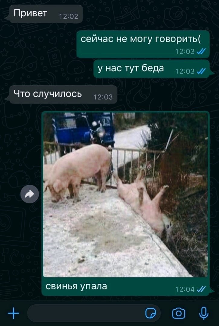 EyeFKdOWUAYP7Ol?format=jpg&name=medium