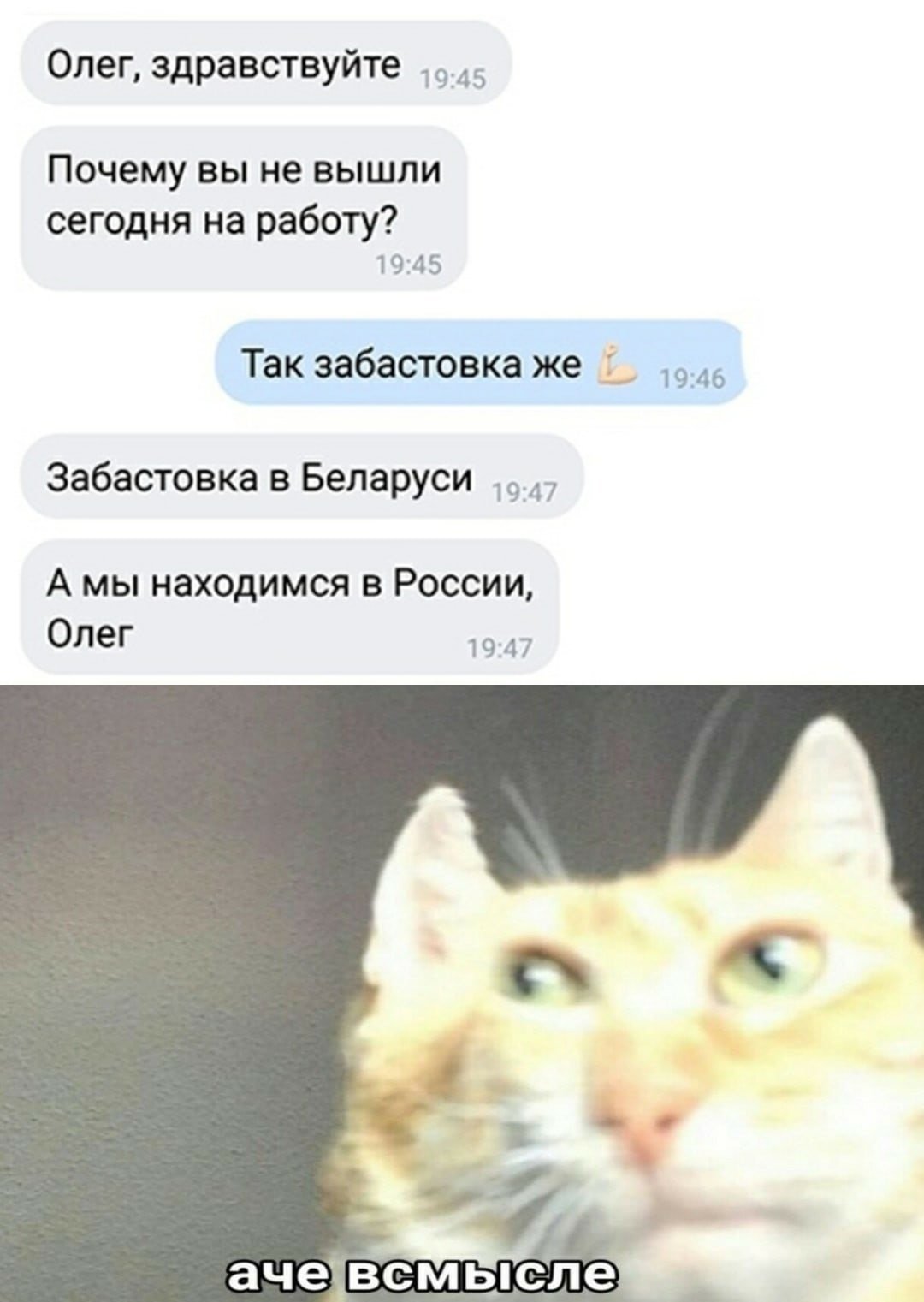 EyeFZFTXAAAMNqF?format=jpg&name=large