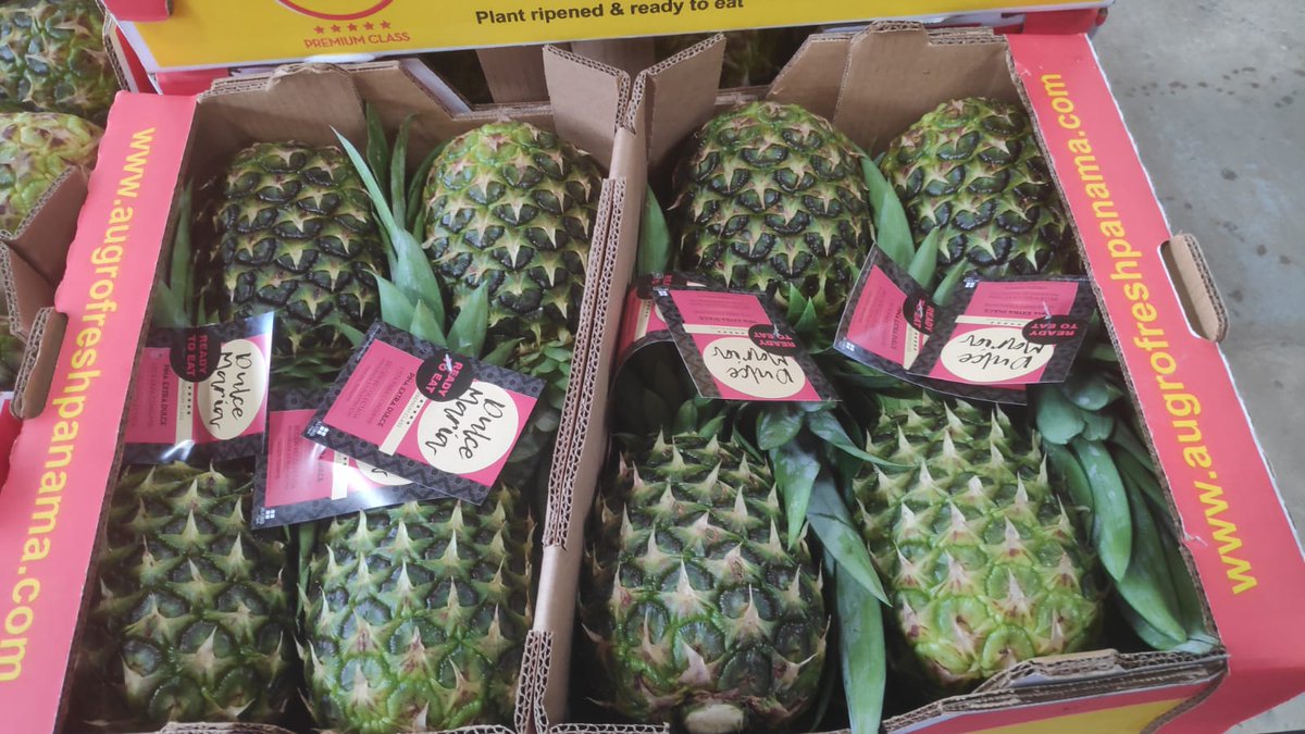 corefresh1's tweet photo. New arrival expected early next week - Quality Panamanian MD2 Pineapples https://t.co/RtHbkczaAm
