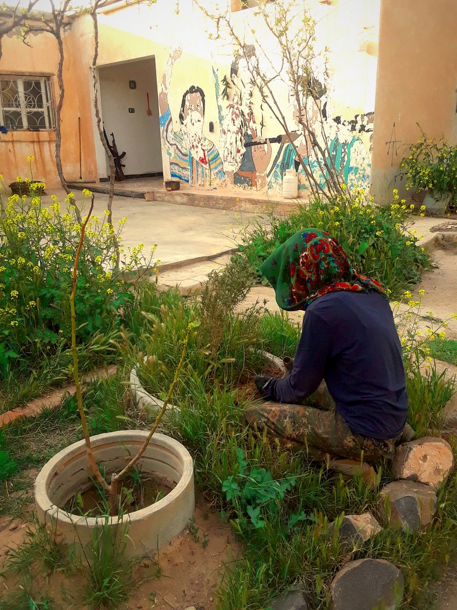A woman prunes a rosemary push in a planter in front of a weathered mural showing revolutionary women from different anarchist struggles