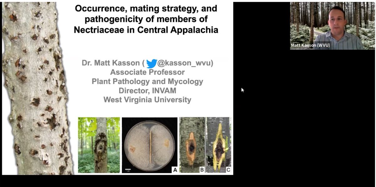 stephenmarek2's tweet photo. Many thanks to @kasson_wvu for speaking with @okstate_epp about the fascinating #Nectria canker fungi of the Appalachia yesterday! We enjoyed it! https://t.co/kuiERZLptJ