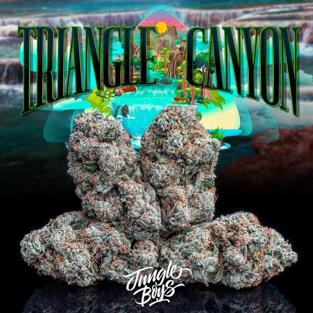 Jungle Boys OC (@jungleboysoc) on Twitter photo Spend the day in a canyon full of kush!🔺🏞
#TriangleCanyon 9 (Topanga Canyon OG x TKBX1)
Cultivated by <a href="/jungleboys/">Jungle Boys</a>oc x Bred & Selected by @jungleboys 🔥
.
.
.
#jungleboys #playingwithfire #jboc #orangecounty #jungleboysoc #orangecountyfarmers #wepac… instagr.am/p/CNagR9hBdv4/ Spend the day in a canyon full of kush!🔺🏞
#TriangleCanyon 9 (Topanga Canyon OG x TKBX1)
Cultivated by <a href="/jungleboys/">Jungle Boys</a>oc x Bred & Selected by @jungleboys 🔥
.
.
.
#jungleboys #playingwithfire #jboc #orangecounty #jungleboysoc #orangecountyfarmers #wepac… instagr.am/p/CNagR9hBdv4/