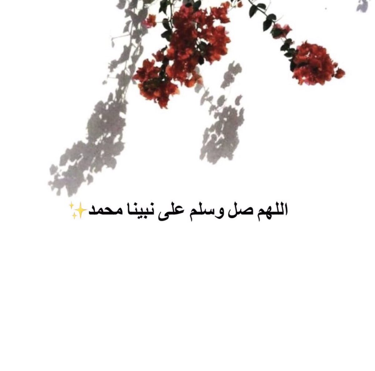 shuosh01's tweet photo. #ليله_الجمعه                                               قال ﷺإنّ من أفضل أيّامكم يوم الجمعة، فأكثروا عليّ من الصلاة فيه، فإن صلاتكم معروضة عليّ. https://t.co/sX1rs7fVFJ
