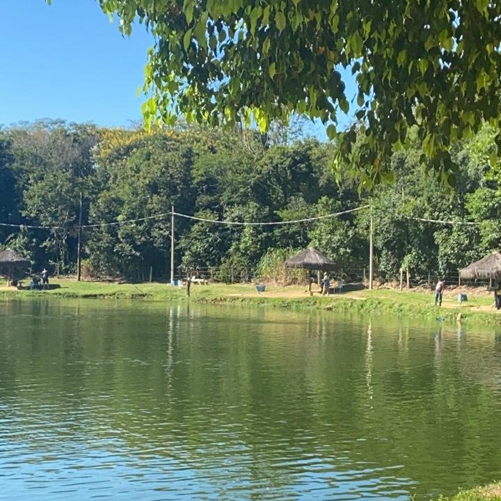 ZeebaOficial's tweet photo. Tomando um solzinho e só de olho nas mensagens de vocês sobre o lançamento de #CANSEI 👀 https://t.co/uG7698nEIk