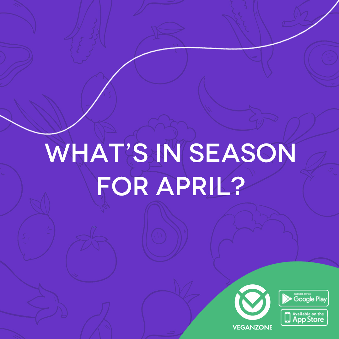 veganzoneapp's tweet photo. April is officially here! Here’s a look at what’s in season. What are your favorite veggies and fruits to eat in April? 🍓🥬🥑
#april #aprilishere #spring #aprilveggies #aprilfruits #fruitsandvegetables #fruitsandveggies #aprilseasonproduce https://t.co/KgYJjA6W4R