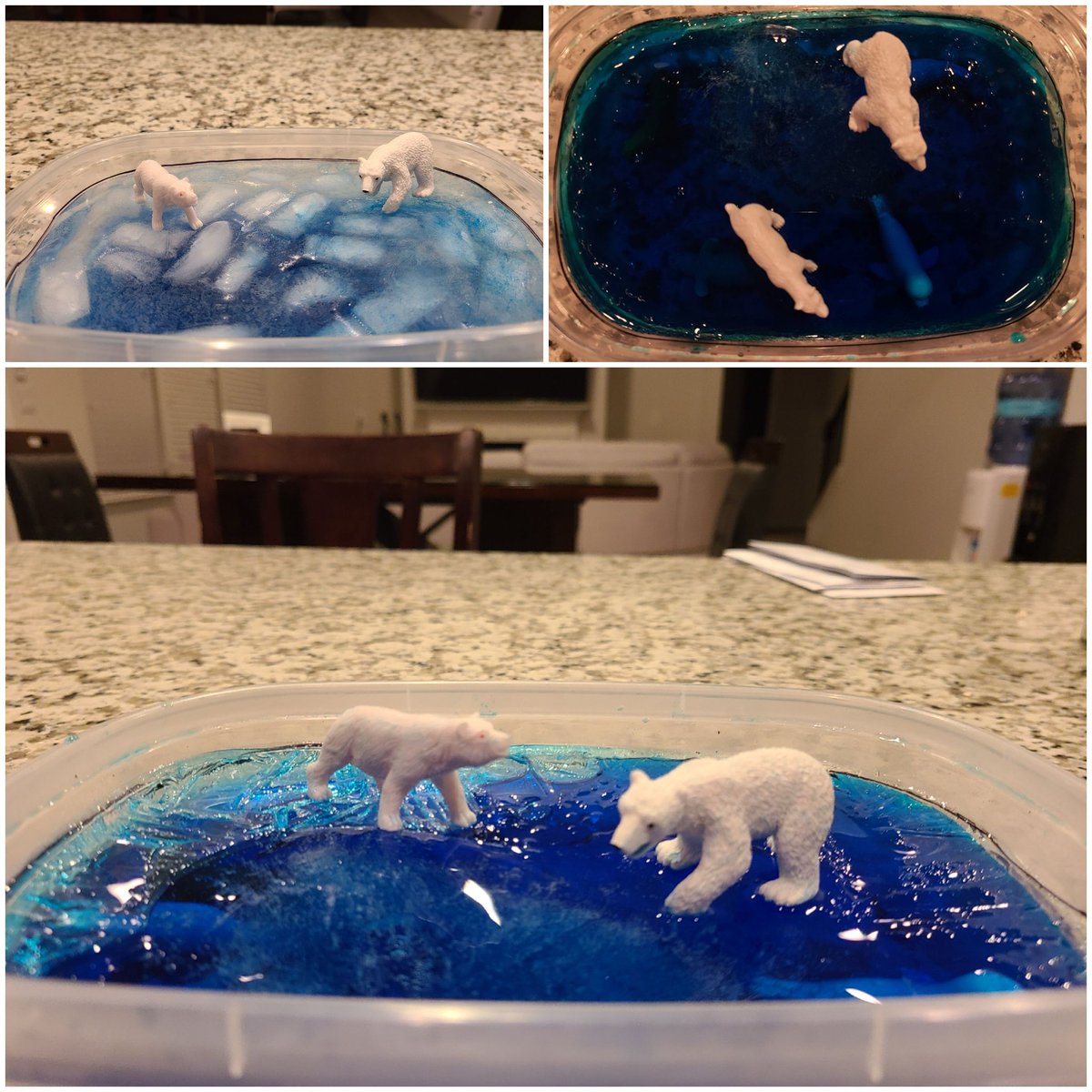 claral0615's tweet photo. This model helped me to connect matter unit with life cycles. It was a great opportunity to let students discuss about how our actions impact/affect other organisms' habitats. #STEAMDLI @dailystem @d_6033 https://t.co/bzkQiEF9o4