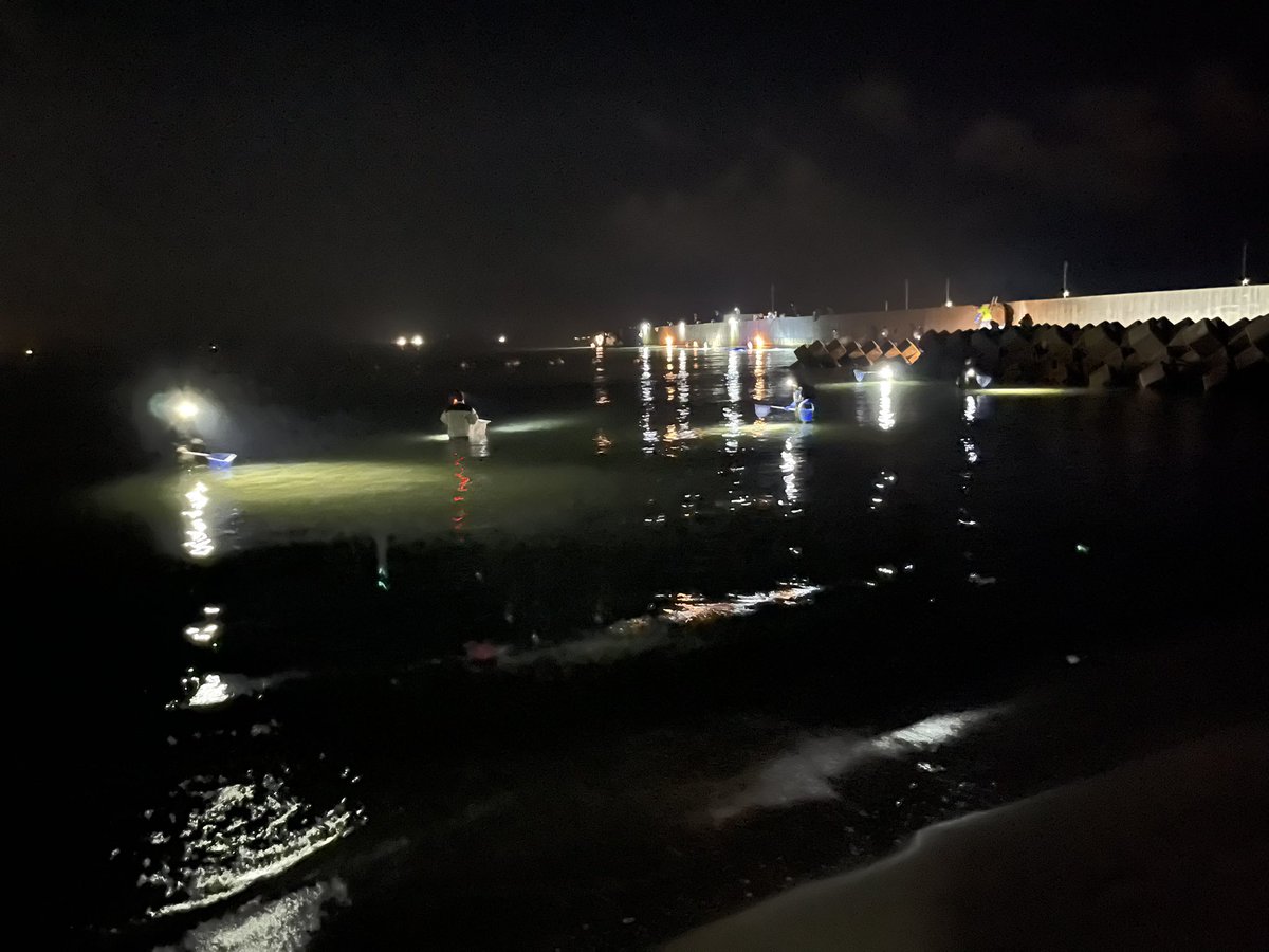 釣り餌