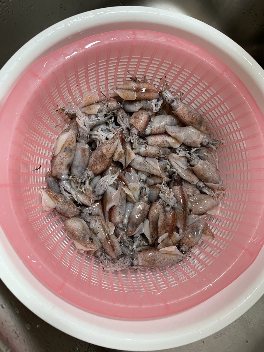 釣り餌