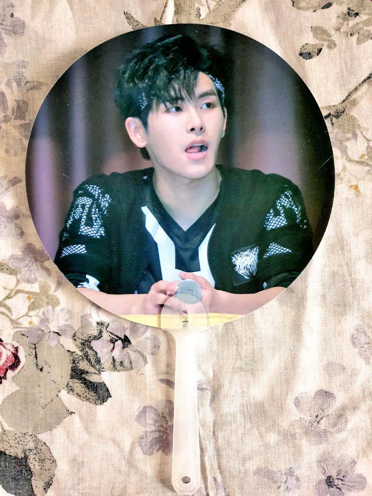  hoya destiny big pc 3€ hoya fansite goods (photobook, postcards, pcs, fan, clear pouch) free