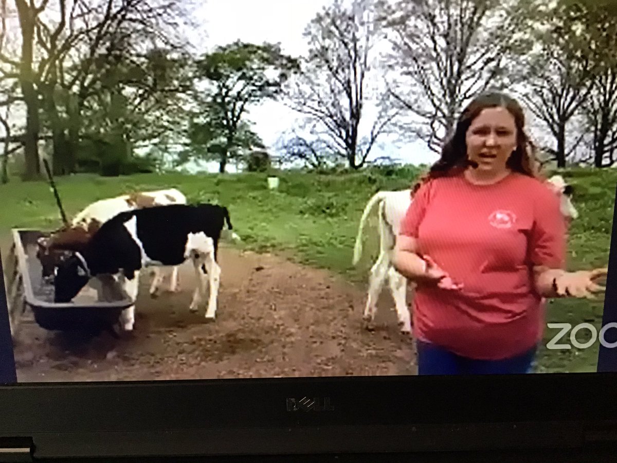 debbie_eckstein's tweet photo. Bogart/ Eckstein Ss enjoyed seeing our adopted cow, Fiesta! She lives in GA with Farmer Katelin and her family- they take great care of her!!  @PGE_Stars #PGEStarStudents https://t.co/zXv9DGRnrx