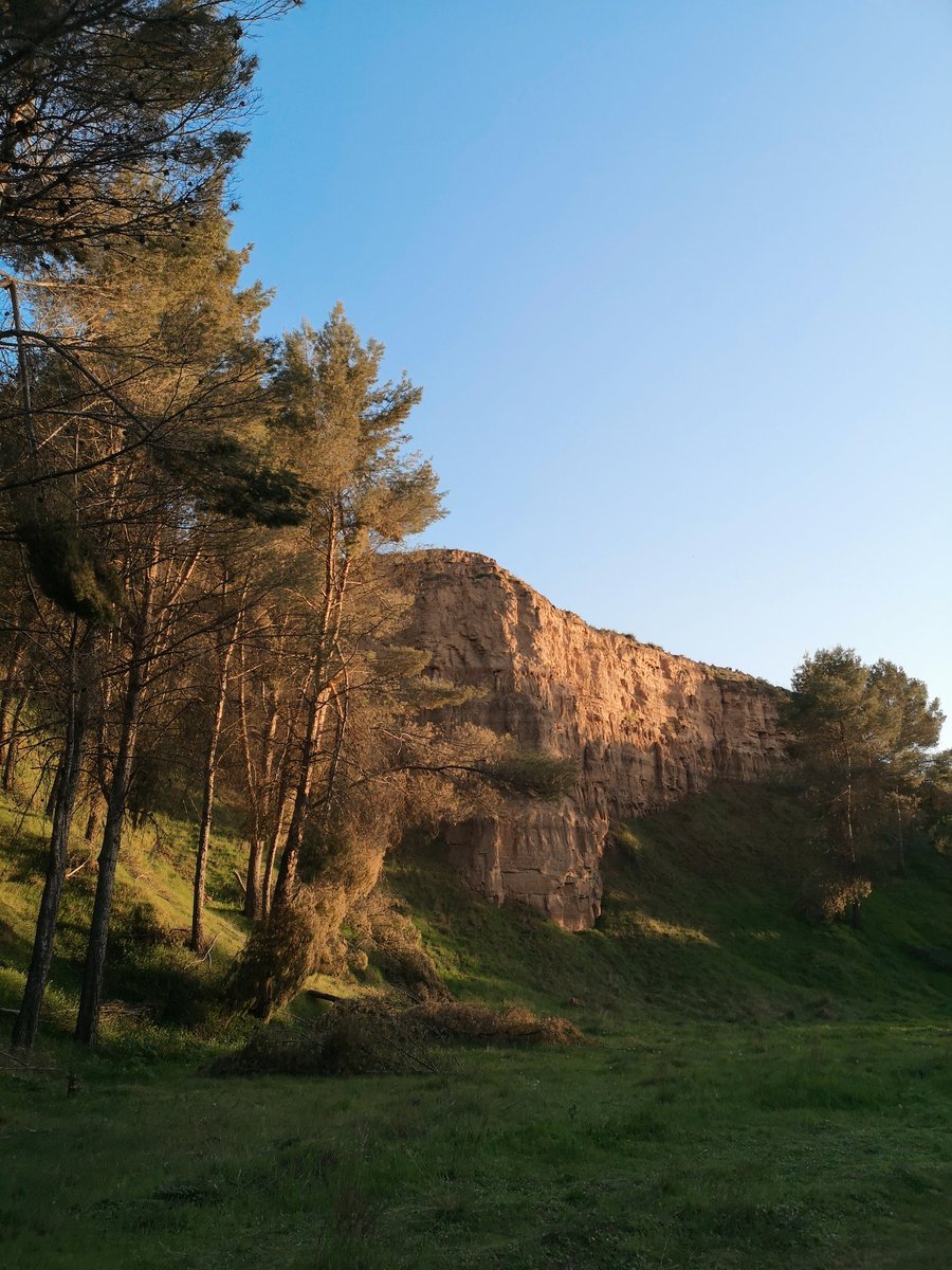 maibnitez's tweet photo. La naturaleza mágica del cerro de Alcalá. Sus vistas.
#AlcalaDeHenares
#alcalalavieja
#eccehomo https://t.co/Ha6WwpqNTl