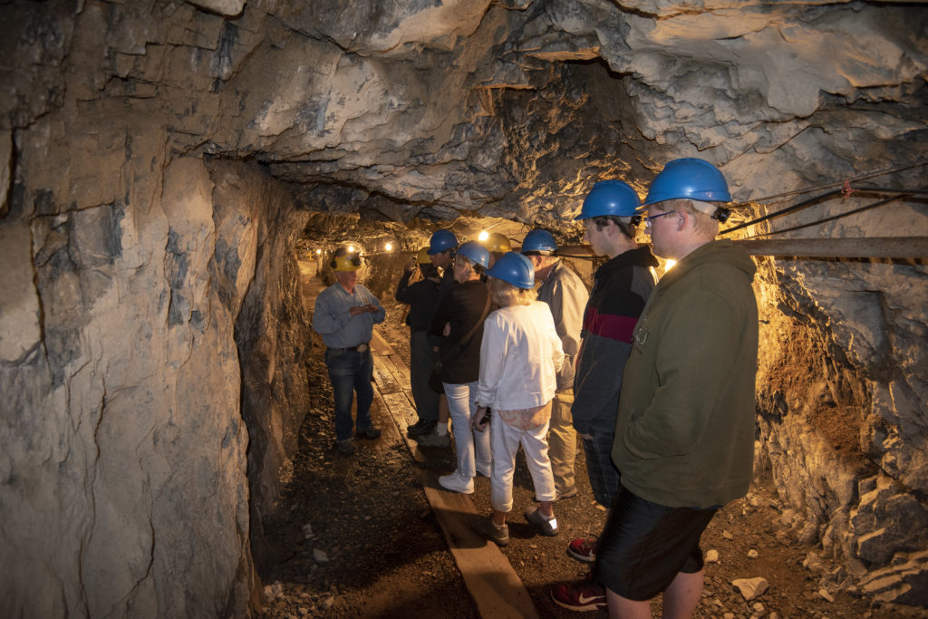 Debbie Picard tweet media