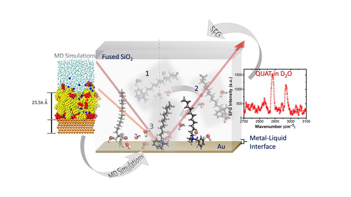 Here We Provide Direct Observation of Surfactant Adsorption at the Gold Metal−Liquid Interface by Surface Specific Sum Frequency Generation (SFG) Spectroscopy
Md. Rubel Khan, Himanshu Singh, Sumit Sharma, and Katherine Cimatu
#OUVirtualExpo <a href="/CimatuGroupOhio/">Cimatu Group Ohio U</a> <a href="/ICMTCorrosion/">ICMT Corrosion Center</a>