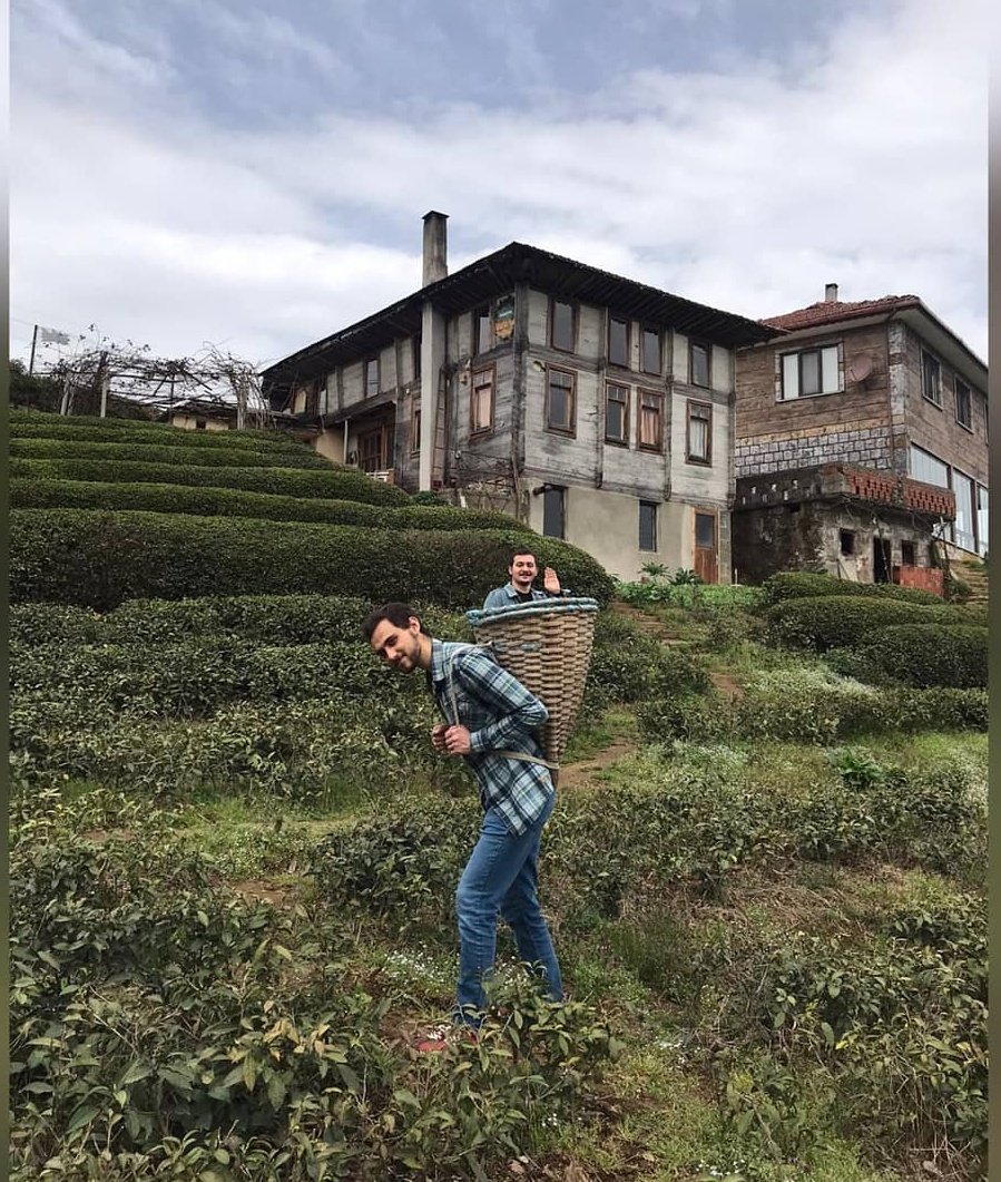 Çay emek ister... <a href="/Dogadan_Cay/">Doğadan</a>