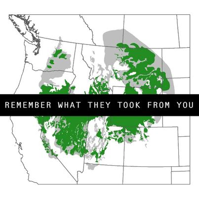 jaylee_tx's tweet photo. Obligatory Greater Sage-grouse memes https://t.co/xwgEqMyj2e