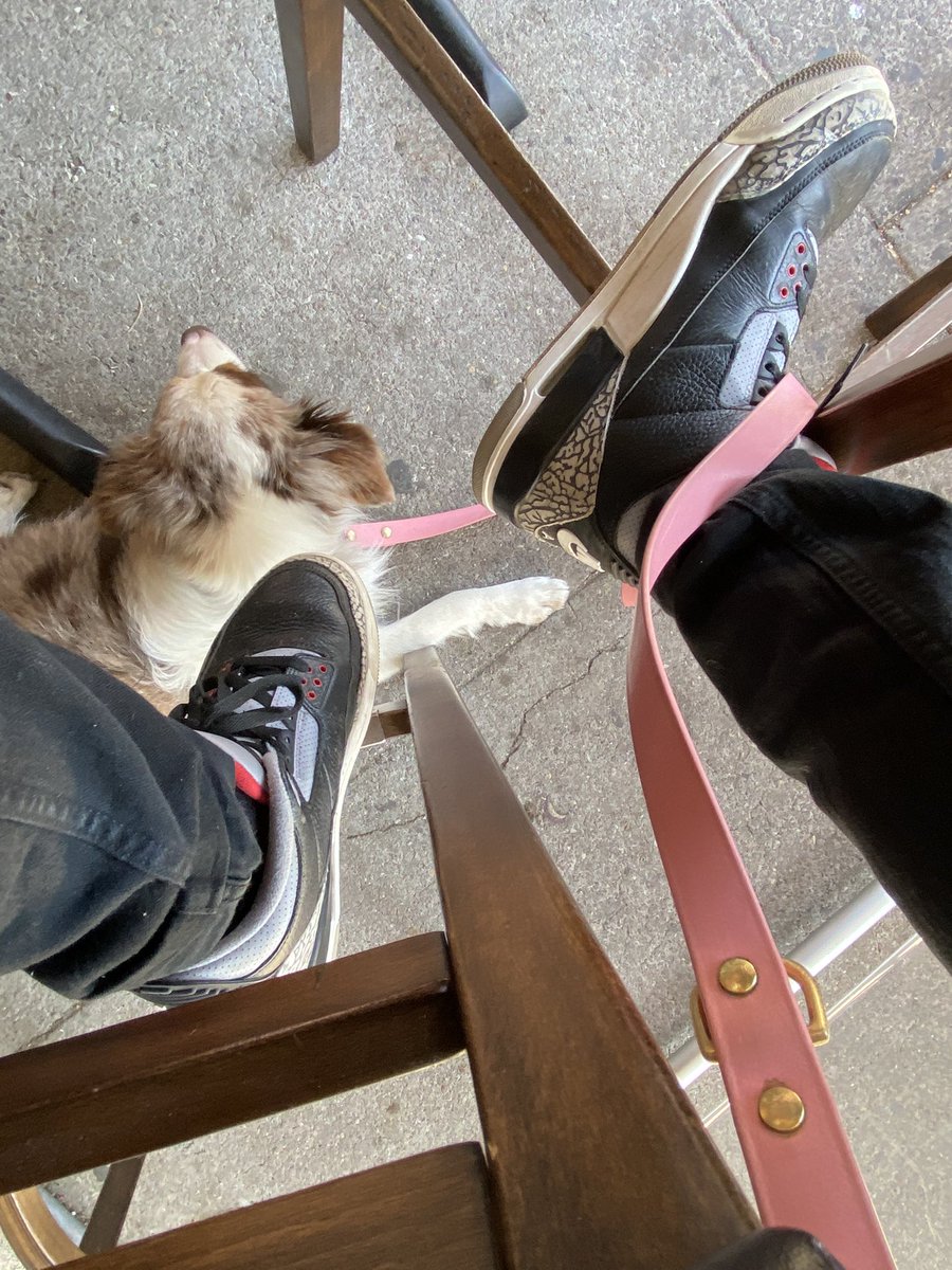 regulrsizebhris's tweet image. New dog who was this