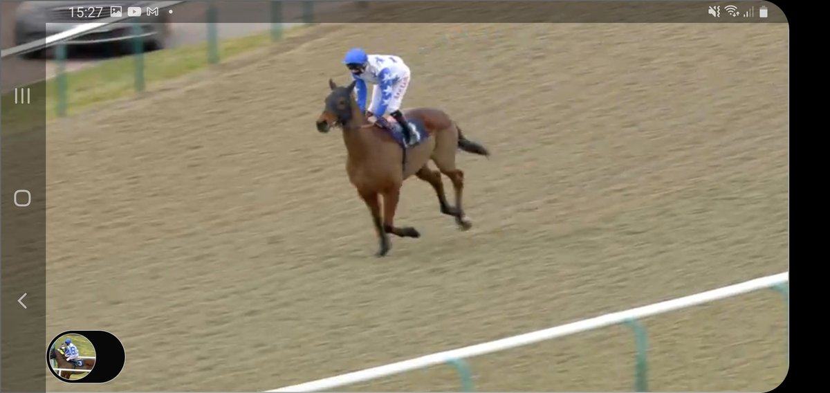 Lydia Richards Racing tweet media