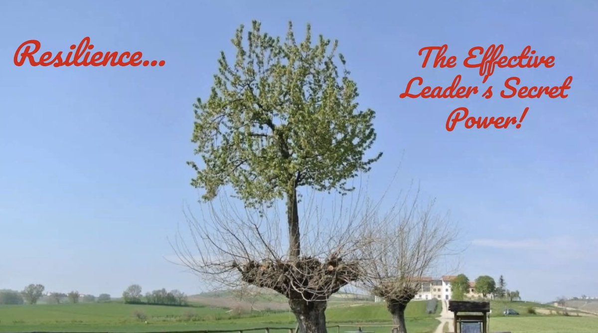 Today in #eosdnLeadership we learned about Resilience from @SMcCabeOCSB and Difficult Conversations from <a href="/dannypalumbo/">Danny Palumbo</a>! Great presentations followed by meaningful discussions. 👏 Thank you <a href="/eostaffdevnet/">EOSDN</a>. #ocsbLeadership #ProfessionalDevelopment