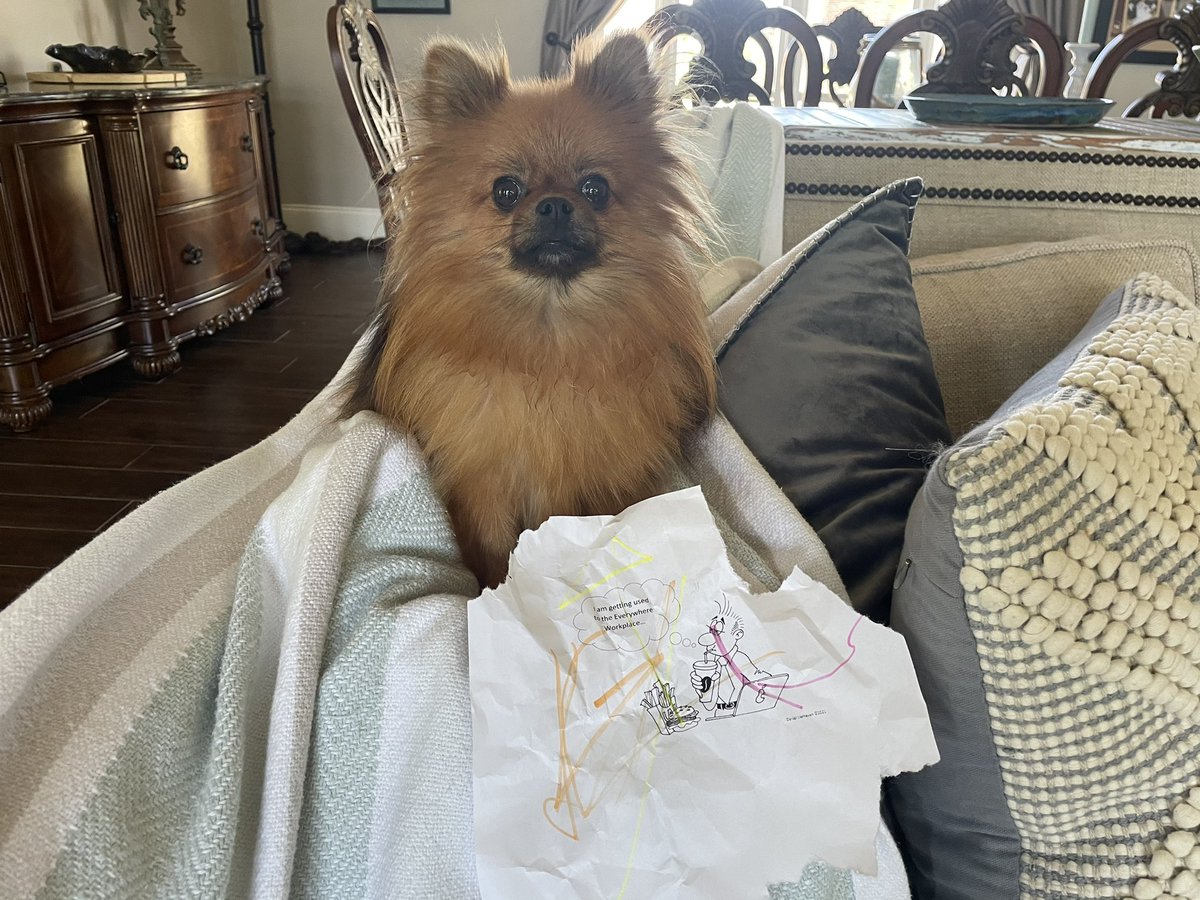 Kiwi did her best on the <a href="/GoIvanti/">Ivanti</a> coloring challenge for the #everywhereworkplace but she doesn’t have opposable thumbs - and paper is tasty.  #WeAreIvanti