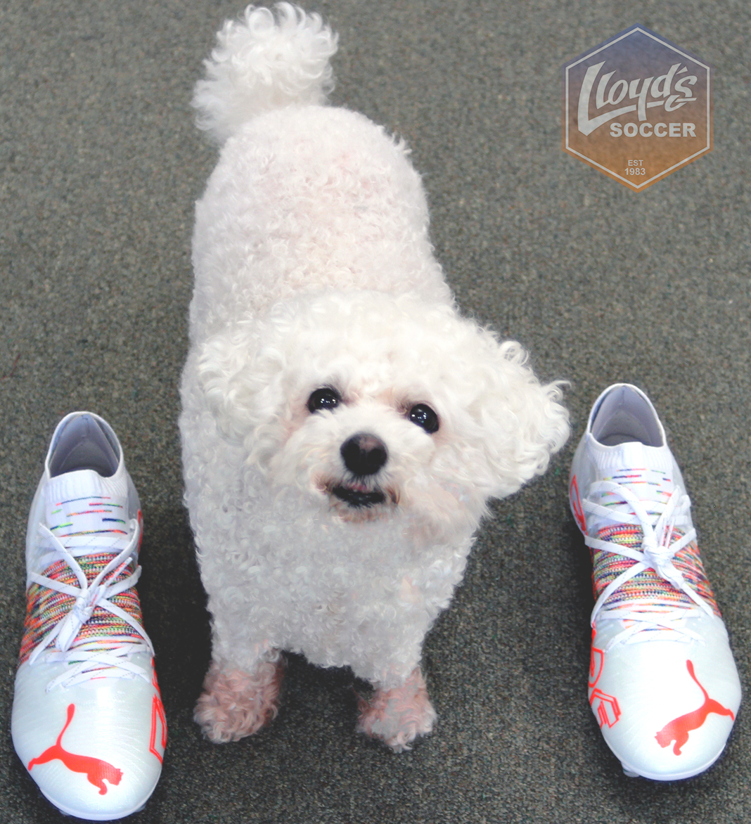 LloydsSoccer's tweet photo. Come get the @PUMA Future Z 1.1 and 3.1 now available @LloydsSoccer!
*Disclaimer* Cute dog does not come with shoes.
Get them now before they kick back to the future!
#Puma #Pumafuturez1 #Futurez1 #Soccer #Charleston #Greenville #Atlanta #BacktotheFuture #Future #dog https://t.co/4PQ72mqLF5