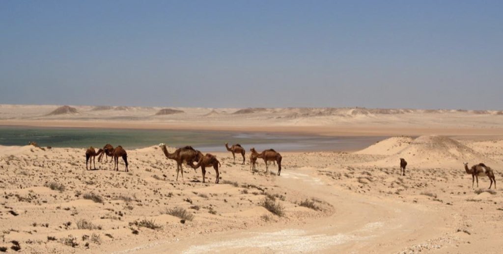 Moorskingdom's tweet photo. Dakhla - Morocco https://t.co/83Xyc6ZA94