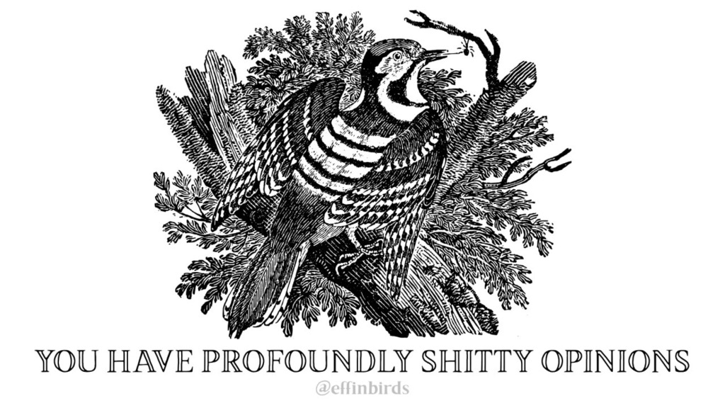 EffinBirds's tweet photo. https://t.co/ebjwsrlu9C