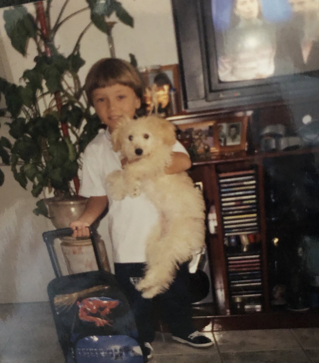 hannah montana tweet media