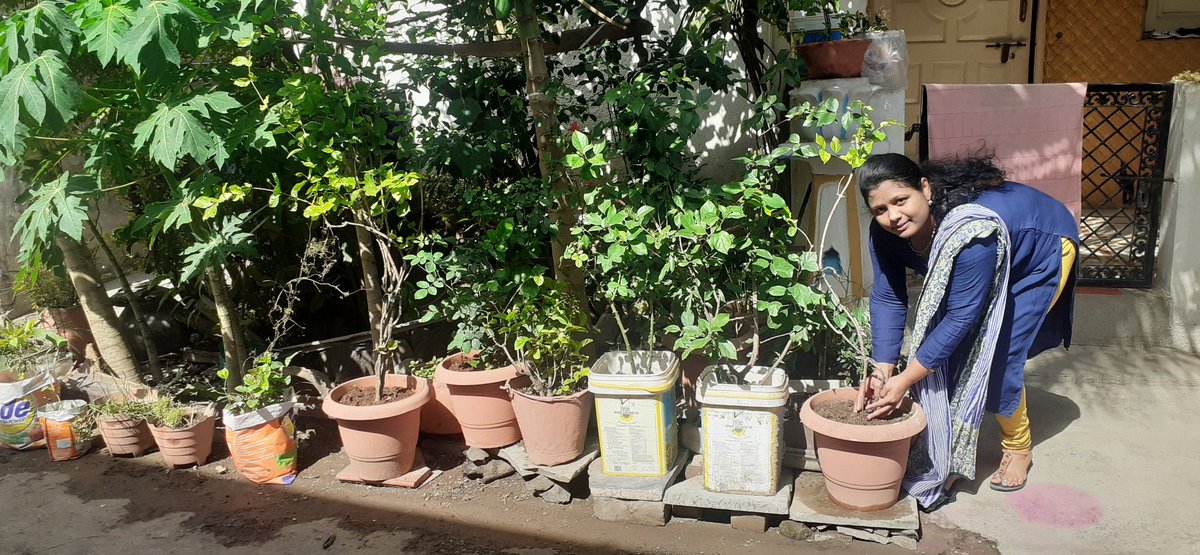 AparnaDhamal's tweet photo. #AprilCool Challenge 
🌱☘🍀🌿🌴🌳
झाडे लावूया झाडे जगवूया व एप्रिल कूल बनवूया @TanpureSonali 
सौ.सोनाली प्राजक्त दादा तनपुरे मॅम यांनी या  उपक्रमाची ओळख नावीन्यपूर्ण रीतीने करून देऊन आधी स्वतः त्याचा अवलंब केला व आम्हालाही प्रेरित केले...Thank you so much @TanpureSonali Ma'am https://t.co/Fj9rCM52EF