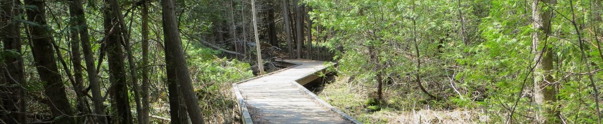 The weather is warming up, so what better time is there to enjoy our green spaces, parks and trails? 

But remember when visiting to practice physical distancing, wear a mask and keep our trails and parks clean!