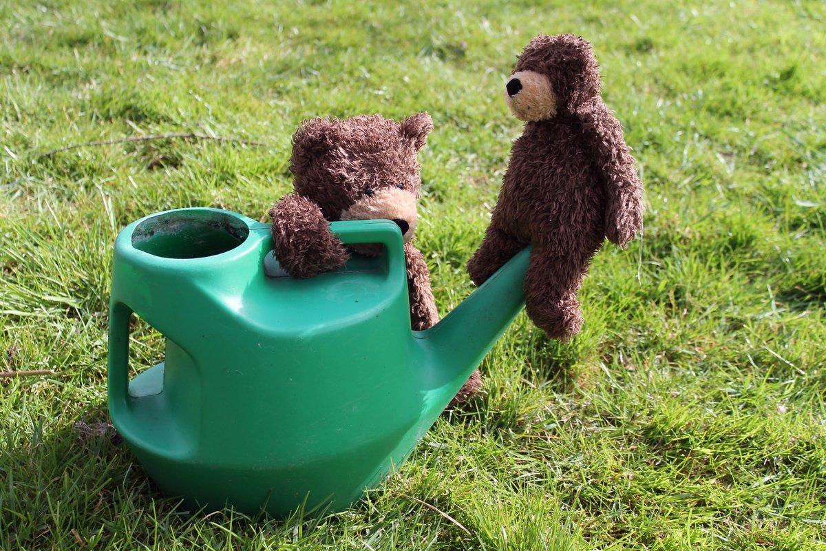 Deano_bear's tweet photo. Dangerous stuff, dont's try it at home wivout knowin' wut can happen ;-)

#Balancin' 
#TeddyOlympics https://t.co/xuzxkVPWNC