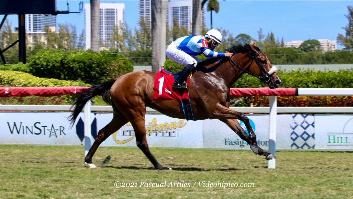 SweezeyK's tweet photo. #8Apr Por Que No (5-4) digs in to win Thursday's feature race, aboard Miguel Angel Vasquez @SweezeyK trains for Fano Racing at #GulfstreamPark
Congratulations to all the winning connections. 1st victory for trainer J. Kent Sweezey #SpringSummerMeet 2021.
📸 @artilespascualf https://t.co/Kfm6MhF8UH