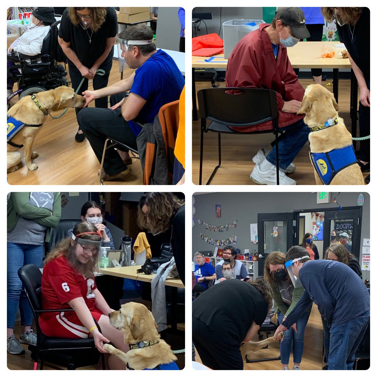 Fun at #janus today!