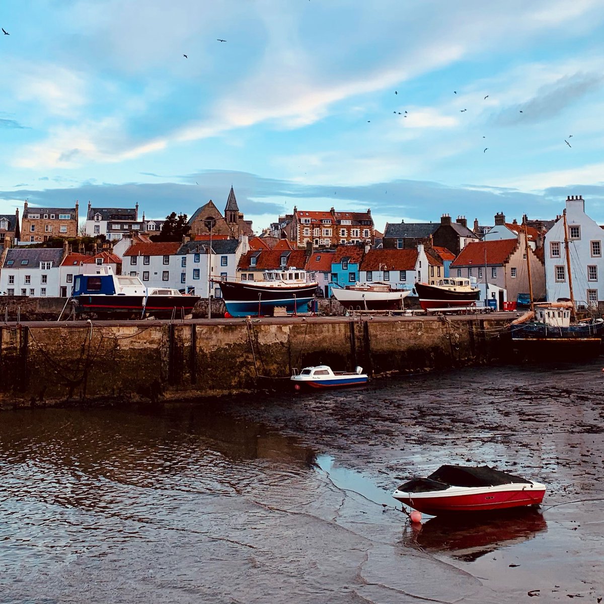 Hinai Proudfoot (@hinaip) on Twitter photo 