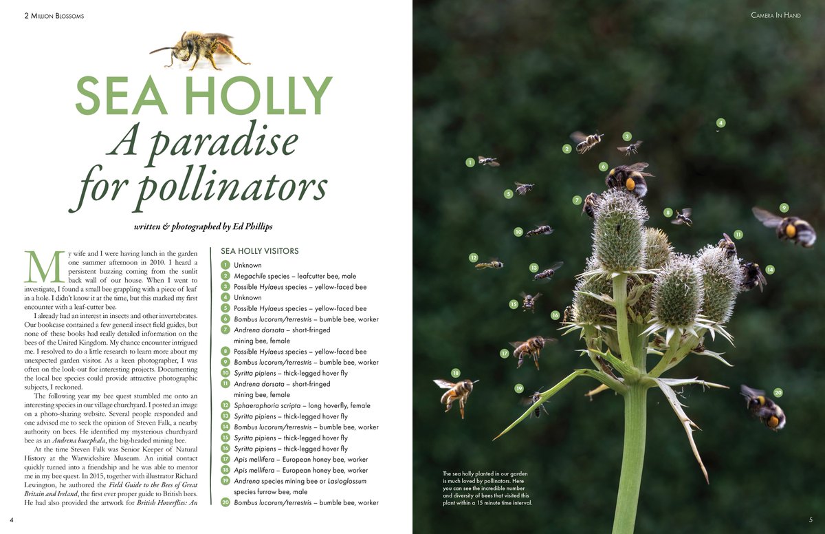 2 Million Blossoms tweet media