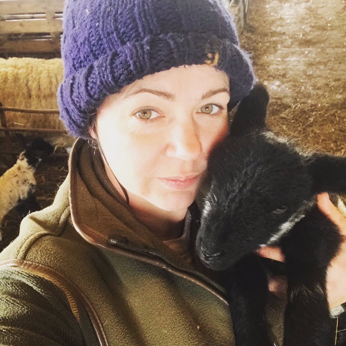 LauraAbiW's tweet photo. 28 ewes left, 6.5 weeks done.... must be mad but I’m sad it’s nearly over. Probably going to change my mind after my first evening with a bottle of wine, bath &amp; 8 hours sleep since February 🤣 #lambing2021 #lambing #farming #lockdownlambing #sheep https://t.co/wxLd1ymy8y