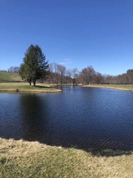 What a day! #spring https://t.co/p2n23Aijup<a href="/tag/spring"class="tags">#spring</a>