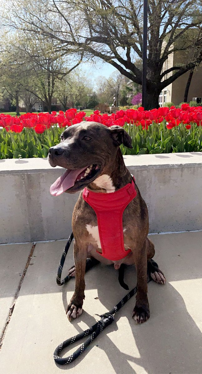 _chlooee1_'s tweet image. youtu.be/HpACqY0RDaw