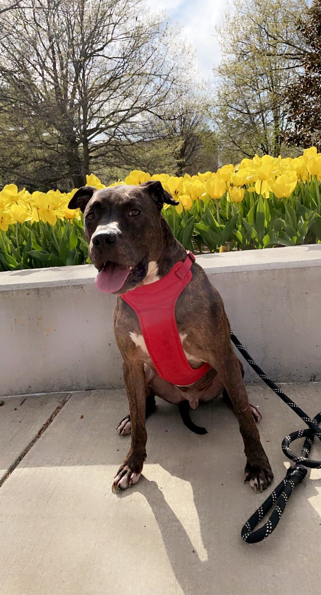 _chlooee1_'s tweet image. youtu.be/HpACqY0RDaw